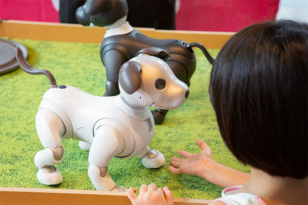 ソニー「手拍子に合わせて踊るaibo」を初公開！ファンや家族連れで大盛況　aiboファンミーティング16参加レポート