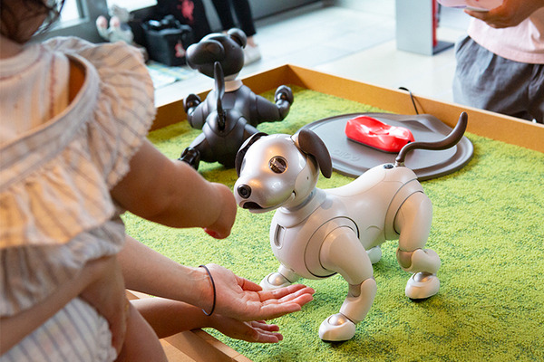 ソニー「手拍子に合わせて踊るaibo」を初公開！ファンや家族連れで大盛況　aiboファンミーティング16参加レポート