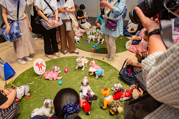ソニー「手拍子に合わせて踊るaibo」を初公開！ファンや家族連れで大盛況　aiboファンミーティング16参加レポート
