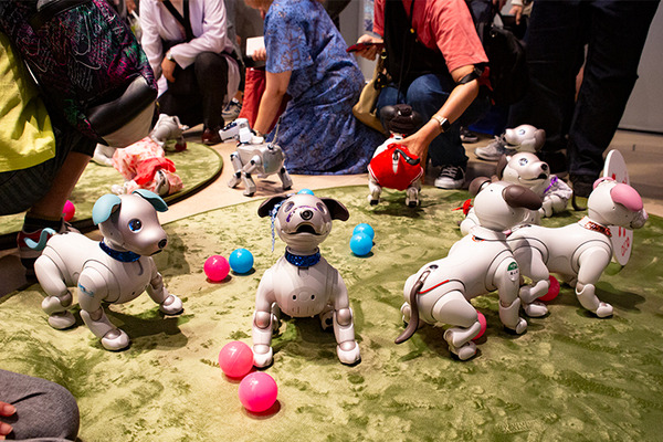 ソニー「手拍子に合わせて踊るaibo」を初公開！ファンや家族連れで大盛況　aiboファンミーティング16参加レポート