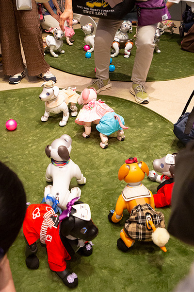 ソニー「手拍子に合わせて踊るaibo」を初公開！ファンや家族連れで大盛況　aiboファンミーティング16参加レポート
