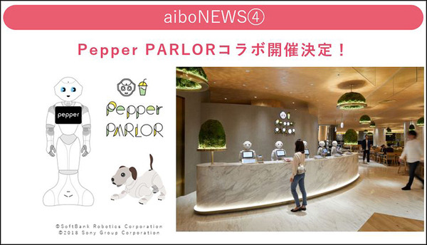 渋谷「Pepper PARLOR」でaiboコラボ開催　aiboも一緒にARでお食事体験　特製ステッカー付きでお得な2割引き