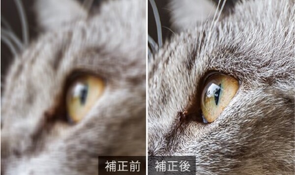 サイバーリンク、写真編集ソフト「PhotoDirector 2024」のサブスク版に生成AI機能を搭載　文字からAIが画像を生成