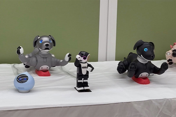 「THE★ROBOTS」ロボットダンスショー公開(ちょもろー)　aiboメンバー全色カラー勢揃い、Romiはどうやって踊るの?