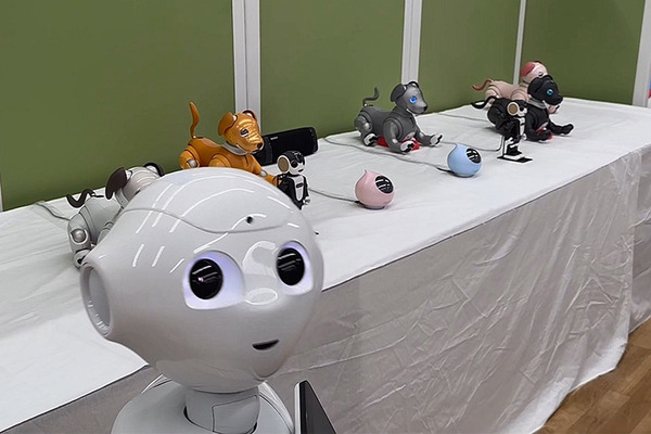 「THE★ROBOTS」ロボットダンスショー公開(ちょもろー)　aiboメンバー全色カラー勢揃い、Romiはどうやって踊るの?