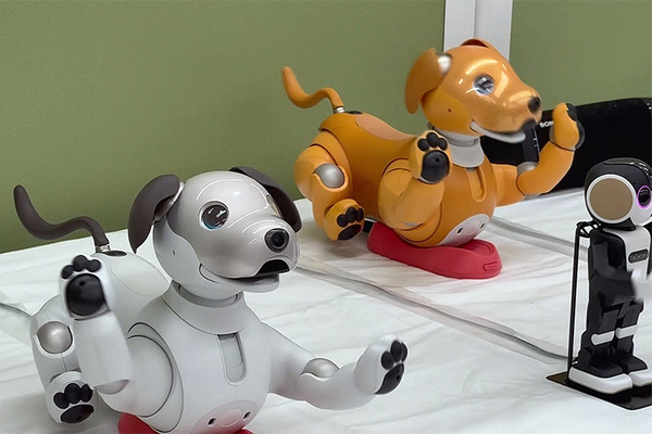 「THE★ROBOTS」ロボットダンスショー公開(ちょもろー)　aiboメンバー全色カラー勢揃い、Romiはどうやって踊るの?