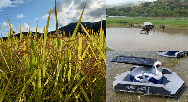 <p>シェア 0 ツイート 0 はてブ 0</p>