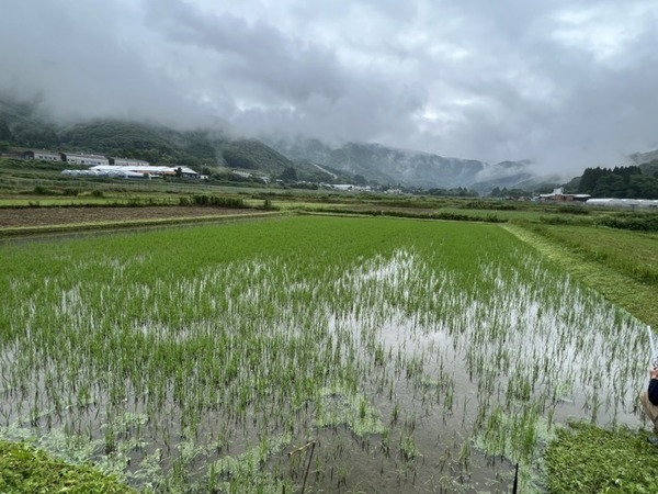 テムザック ロボット技術で農業経験のない人も取組める省力化農業「WORKROID農業」で初収穫　ドローンや雷鳥1号等の成果を公表