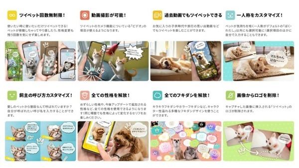 生成AI技術でペットの「キモチ」がのぞける！？愛するペットの個性をシェアして楽しめるアプリ「ツイペット」をリリース