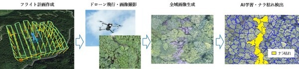 京大発スタートアップ、NTT東や所沢市とドローン撮影画像×AI解析で「ナラ枯れ」発見の実証実験　枯死樹木の放置を抑止