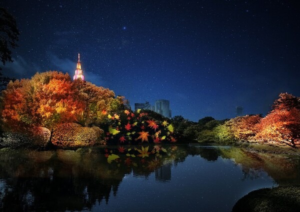 新宿御苑とネイキッドが再びコラボ！紅葉ライトアップイベント『NAKED紅葉の新宿御苑2023』開催決定　11月22日～12月3日