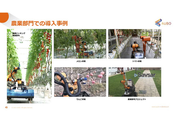 製造業からマッサージロボまで　中国・協働ロボット最大手のAUBOが日本に本格進出