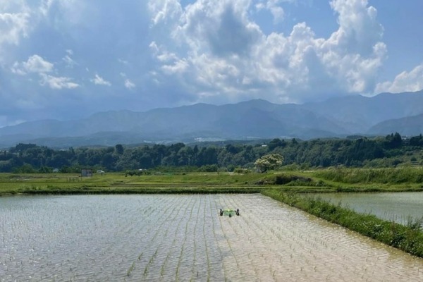 除草ロボット「ミズニゴール」を用いて栽培された農薬不使用の「ミズニゴール米」のEC販売を開始　農業自動化と楽しさ向上を目指す