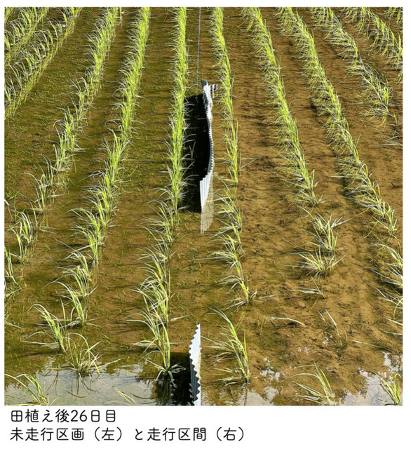 除草ロボット「ミズニゴール」を用いて栽培された農薬不使用の「ミズニゴール米」のEC販売を開始　農業自動化と楽しさ向上を目指す