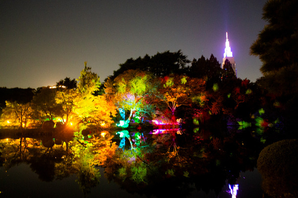 新宿御苑の紅葉イルミネーション「NAKED紅葉の新宿御苑2023」見どころ体験レポート【オススメ】五感で感じる壮大で煌びやかな日本の秋