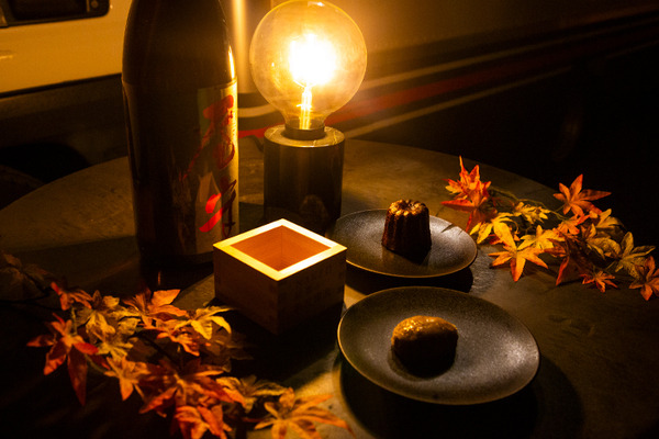 新宿御苑の紅葉イルミネーション「NAKED紅葉の新宿御苑2023」見どころ体験レポート【オススメ】五感で感じる壮大で煌びやかな日本の秋
