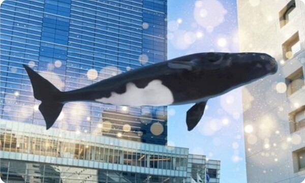 品川にクジラやイルカが！「品川イルミネーション2023 with XR City」開催　品川港南エリアをXRで活性化