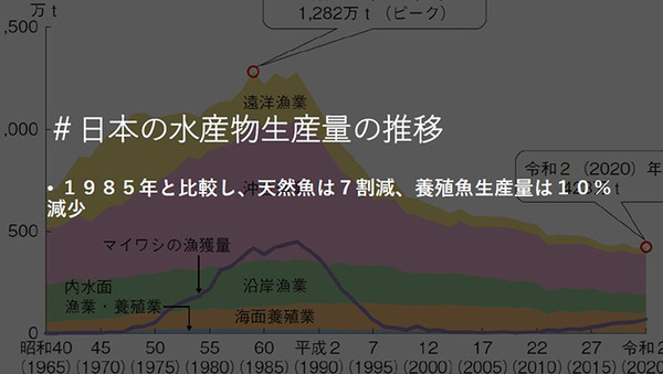 ソフトバンク、魚の鮮度やうまみをセンサーやAIで測定する手法確立へ　品質規格標準化のコンソーシアムを水産業社らと設立する理由と意義