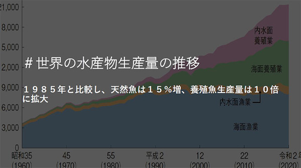 ソフトバンク、魚の鮮度やうまみをセンサーやAIで測定する手法確立へ　品質規格標準化のコンソーシアムを水産業社らと設立する理由と意義