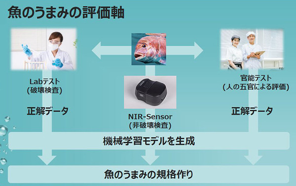 ソフトバンク、魚の鮮度やうまみをセンサーやAIで測定する手法確立へ　品質規格標準化のコンソーシアムを水産業社らと設立する理由と意義
