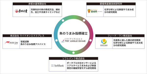 ソフトバンク、魚の鮮度やうまみをセンサーやAIで測定する手法確立へ　品質規格標準化のコンソーシアムを水産業社らと設立する理由と意義