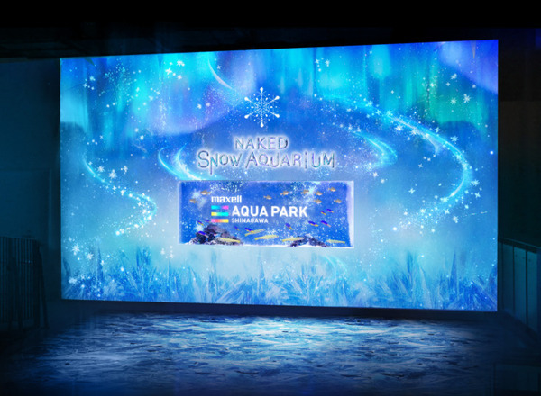 雪や氷、オーロラ映像とイルカなど生きものたちの共演！「NAKED SNOW AQUARIUM」開催、冬景色が広がる幻想的な海の世界へ