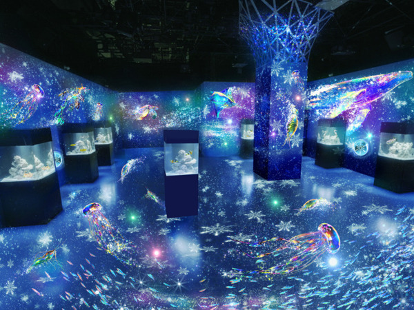 雪や氷、オーロラ映像とイルカなど生きものたちの共演！「NAKED SNOW AQUARIUM」開催、冬景色が広がる幻想的な海の世界へ