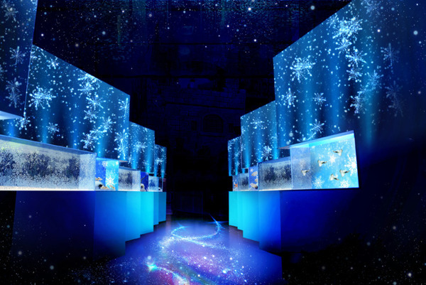 雪や氷、オーロラ映像とイルカなど生きものたちの共演！「NAKED SNOW AQUARIUM」開催、冬景色が広がる幻想的な海の世界へ