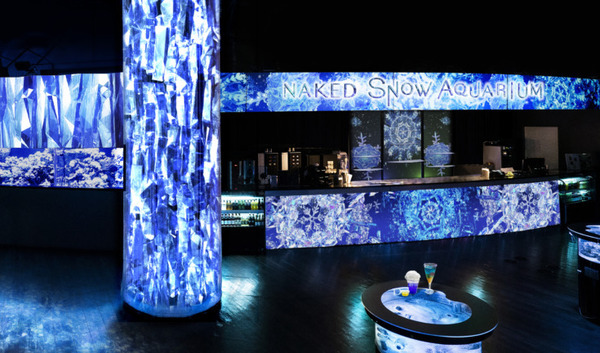 雪や氷、オーロラ映像とイルカなど生きものたちの共演！「NAKED SNOW AQUARIUM」開催、冬景色が広がる幻想的な海の世界へ