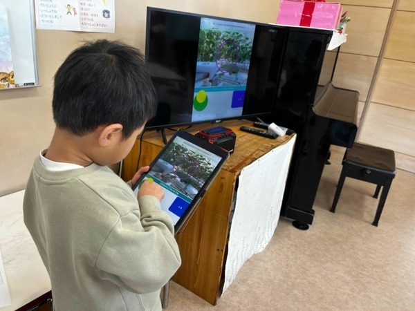 園児たちが遠隔からキュウリの収穫を体験　AGRISTが鹿児島市の幼稚園と約1000キロ先に埼玉県の農場を繋ぐ