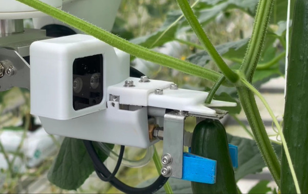 園児たちが遠隔からキュウリの収穫を体験　AGRISTが鹿児島市の幼稚園と約1000キロ先に埼玉県の農場を繋ぐ