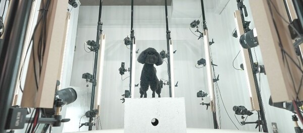 【日本初】最新デジタル技術で亡くなったペットと再開する「再会XR」サービス開始　ペットロスの解消に寄与　SASUKE TOKYO