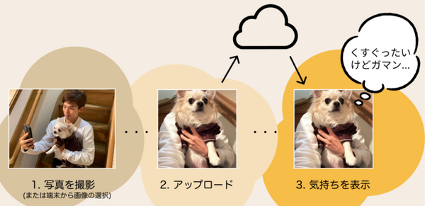 ChatGPTの画像認識機能で動物の気持ちがわかるスマホアプリ「ペットの気持ちAI」をリリース　周りにいるたいていの生き物に対応