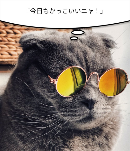 ChatGPTの画像認識機能で動物の気持ちがわかるスマホアプリ「ペットの気持ちAI」をリリース　周りにいるたいていの生き物に対応