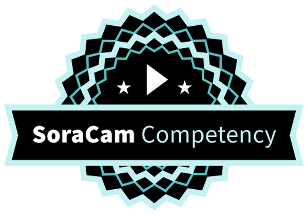 カメラとAI解析の知見を持つビジネスパートナーをソラコムが認定するプログラム「ソラカメコンピテンシー」開始