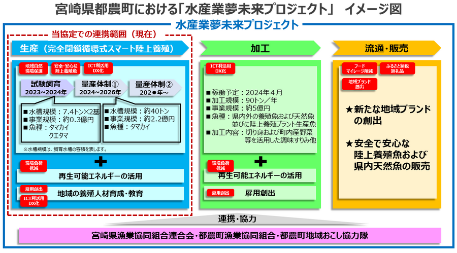 NTTがICTで陸上養殖　世界初「クエタマ」「タマカイ」の養殖に成功、成長速度は約3倍「水産業夢未来プロジェクト」成果を公表