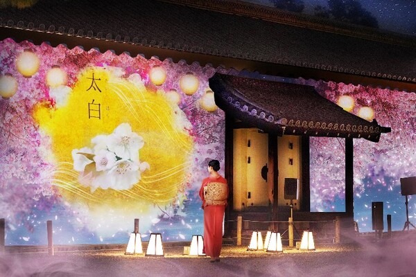 『NAKED桜まつり 2024 世界遺産・二条城』の「プレミアムお花見エリア」演出詳細を発表　豪華絢爛プロジェクションマッピング