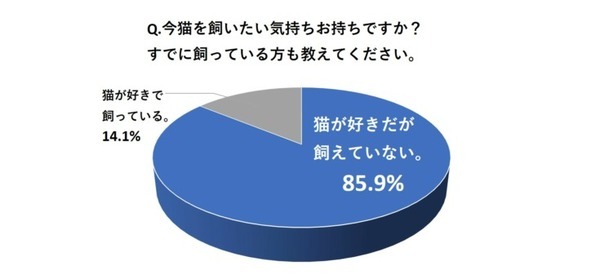 肉球が気持ちいい、心臓の鼓動までも感じる!? リアルな猫ペットロボット『KIMIT ラグドール』発売、面白CM動画も公開 セガトイズ