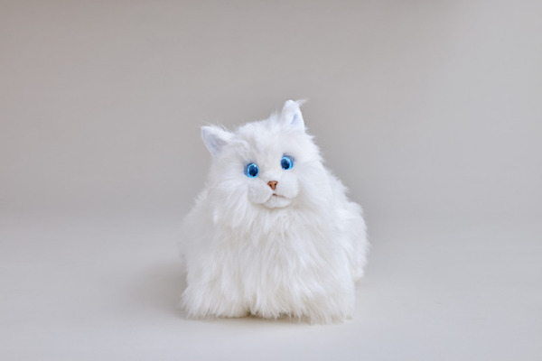 肉球が気持ちいい、心臓の鼓動までも感じる!? リアルな猫ペットロボット『KIMIT ラグドール』発売、面白CM動画も公開 セガトイズ