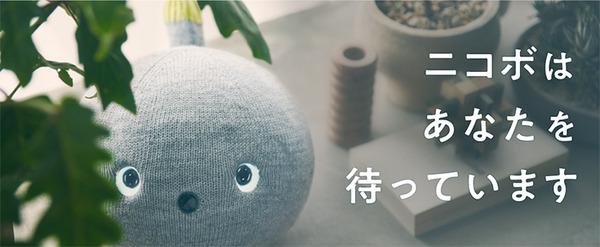 パナソニックの弱いロボット「NICOBO」(ニコボ)春割キャンペーン 3月限定で本体価格が11,000円OFF　お試しレンタルも