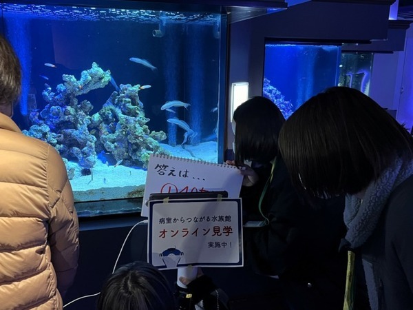 「病室からつながる水族館」四国水族館と香川大学、入院中の子どもたちが遠隔ロボットで水族館をオンライン見学