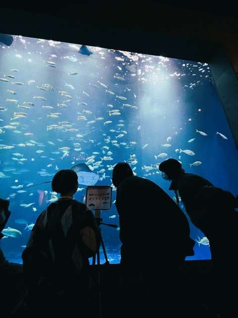 「病室からつながる水族館」四国水族館と香川大学、入院中の子どもたちが遠隔ロボットで水族館をオンライン見学
