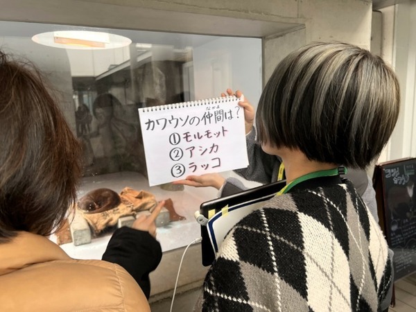 「病室からつながる水族館」四国水族館と香川大学、入院中の子どもたちが遠隔ロボットで水族館をオンライン見学