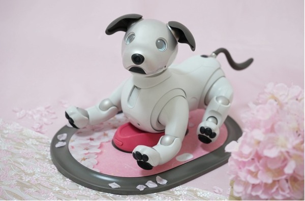 aibo用「チャージステーション」春を感じる『さくら柄』デコカバーが登場　ロボユニ