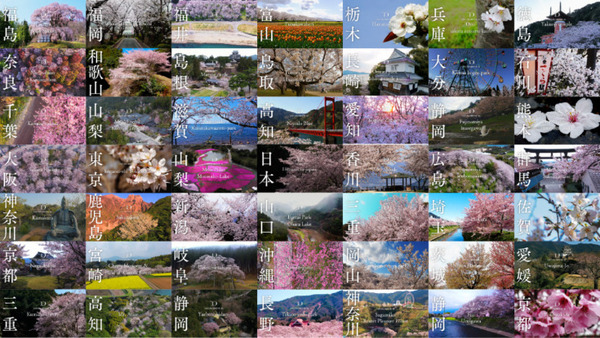 5年目の「桜ドローンプロジェクト」テーマは日本の文化の象徴「富士山」4Kオリジナル開発のFPVドローンで捉える