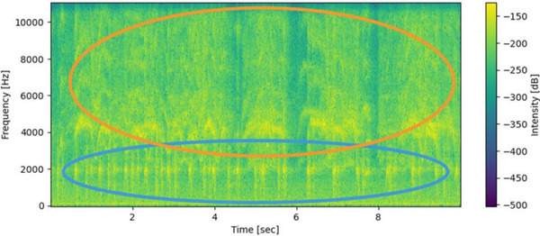 NTT東日本 タイワンリスの被害拡大を防ぐため「鳴き声AI解析」で生息状況調査を実施　識別結果や誤検知の理由も公表