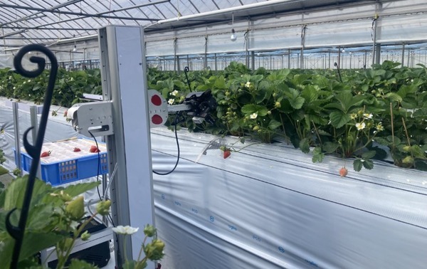 いちごのAI自動収穫ロボット「ロボつみ」　株式投資型クラファンで3160万円の資金調達に成功