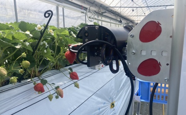 いちごのAI自動収穫ロボット「ロボつみ」　株式投資型クラファンで3160万円の資金調達に成功