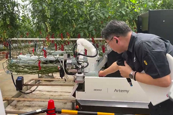 デンソーが全自動収穫ロボット『Artemy』(アーテミー)を欧州で受注開始　ミニトマト向け 自動運転とAIの技術を投入 実演デモを公開