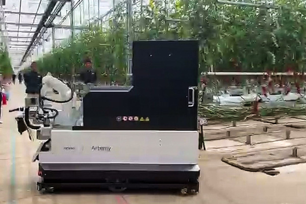 デンソーが全自動収穫ロボット『Artemy』(アーテミー)を欧州で受注開始　ミニトマト向け 自動運転とAIの技術を投入 実演デモを公開